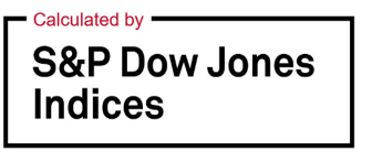 S&P logo